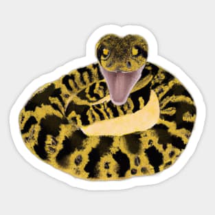 Cute Rattlesnake Drawing Sticker